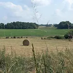 Rabbit House - La D'hotes * Singleyrac