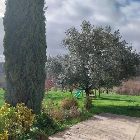 住宿加早餐酒店 Rabbit House - La D'hotes