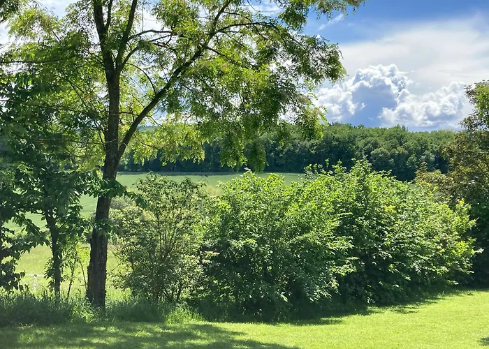 Rabbit House - La D'hotes *